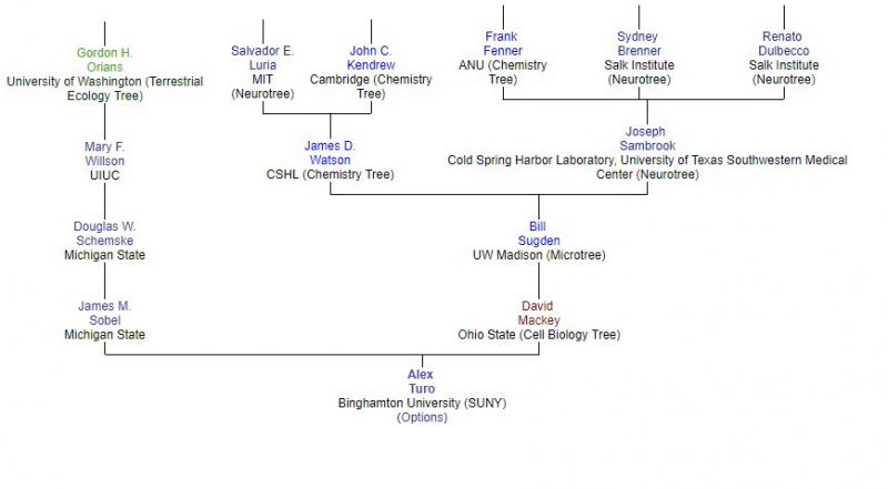 Academic Tree of Alex Turo
