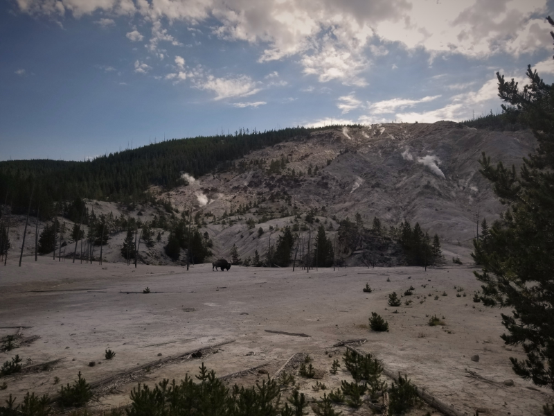 Mountain in Oregon with buffalo grazing at the bottom