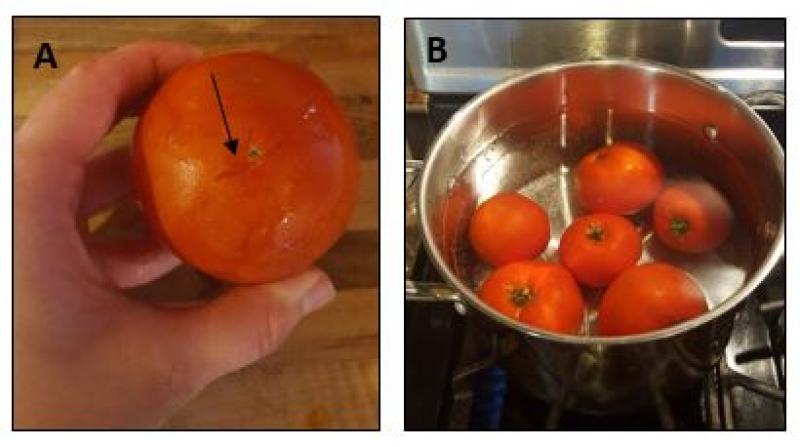 Peeling a tomato using flash steaming