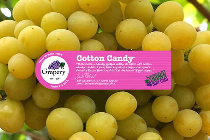 Cotton Candy Grapes Grapes on the vine