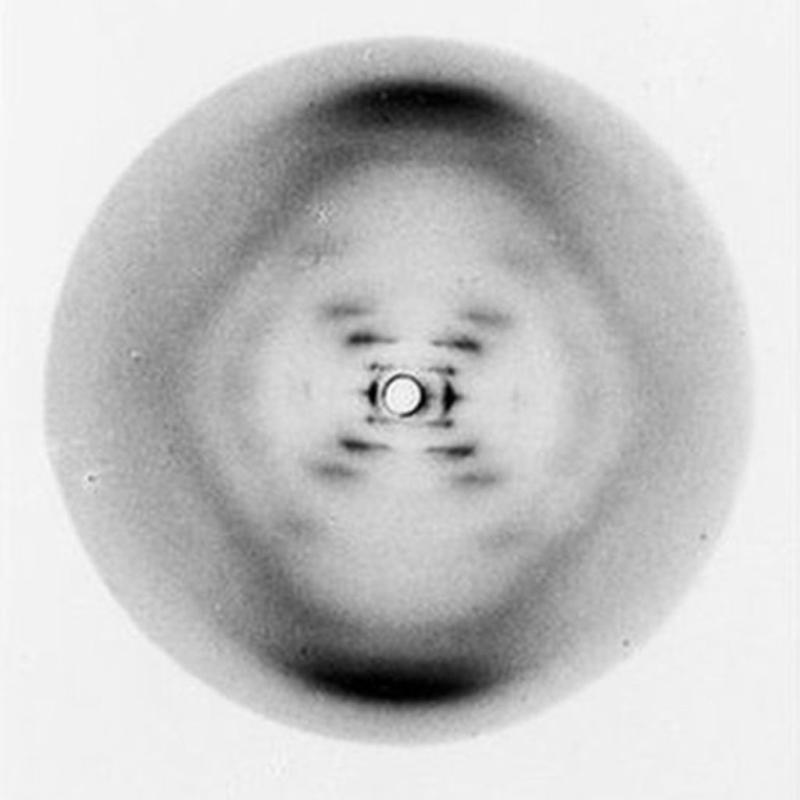 Photo 51 - X-ray crystallography of a DNA molecule X-ray crystallography of a DNA molecule, image known as Photo 51