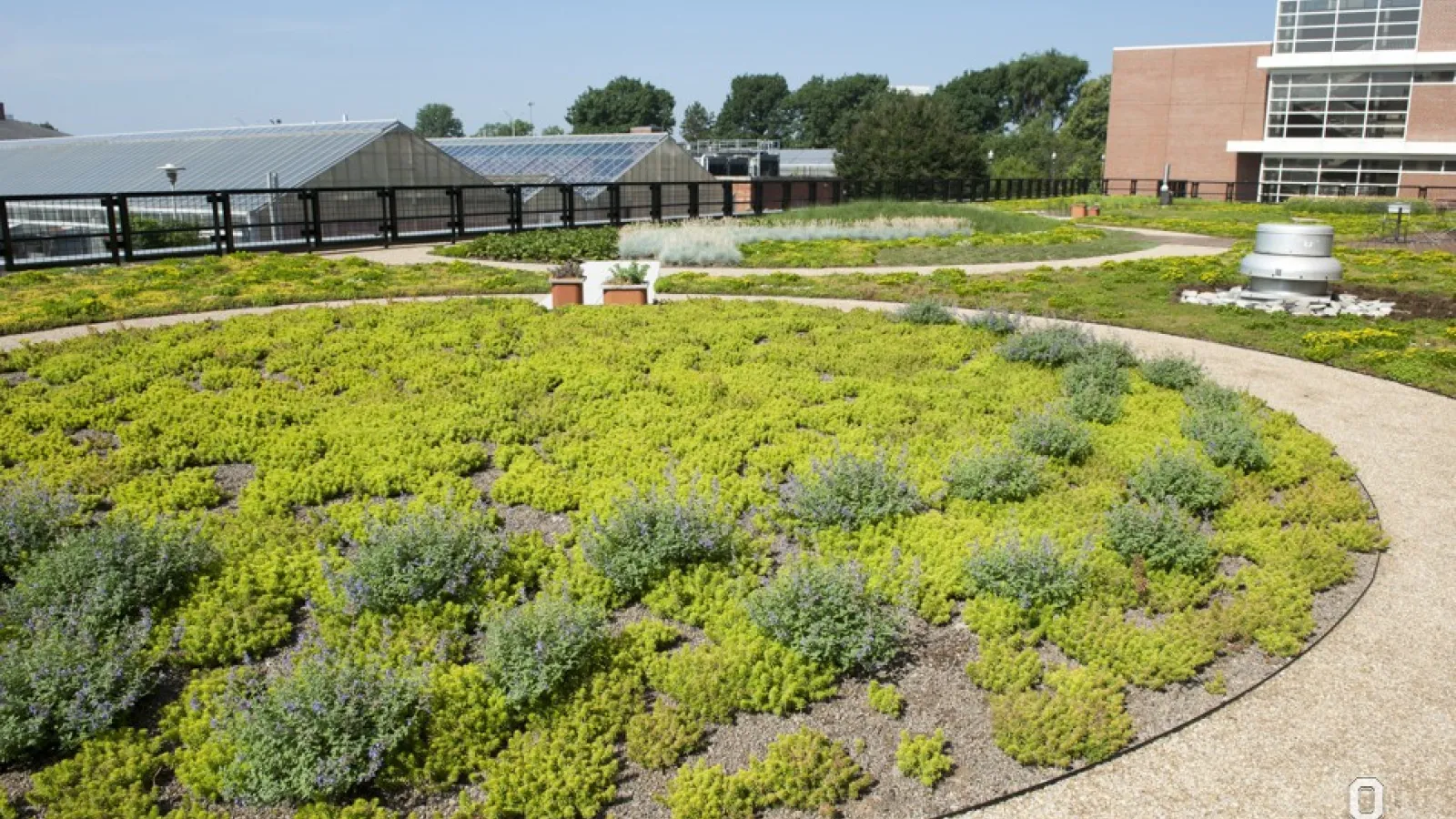 Garden at Ohio State