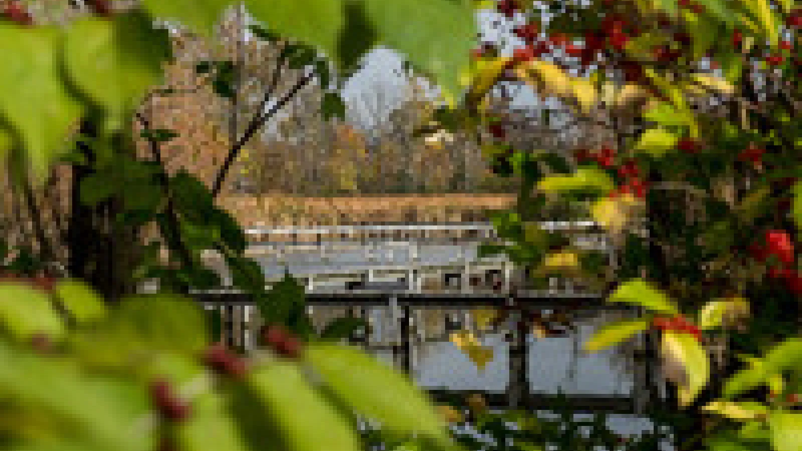 Wetlands