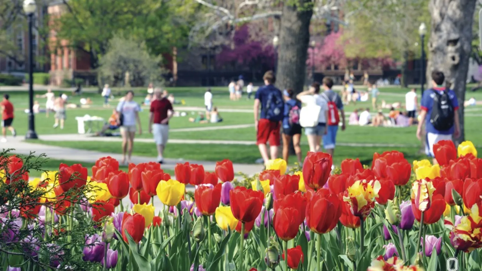 The Ohio State University 