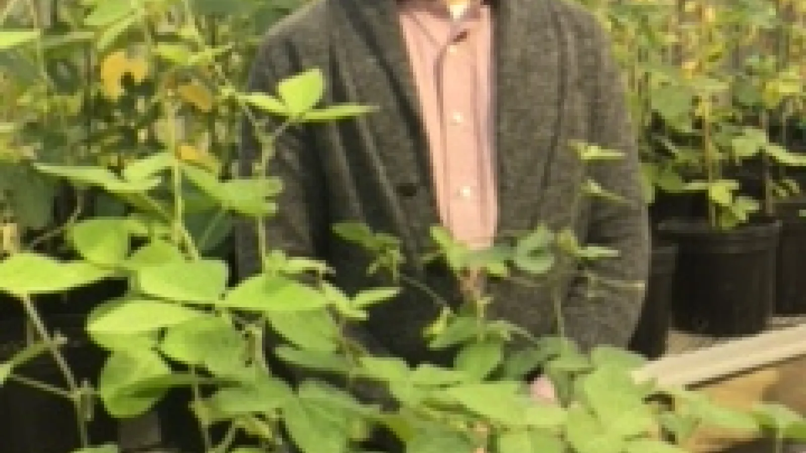 Bill Rolling in the Greenhouse 