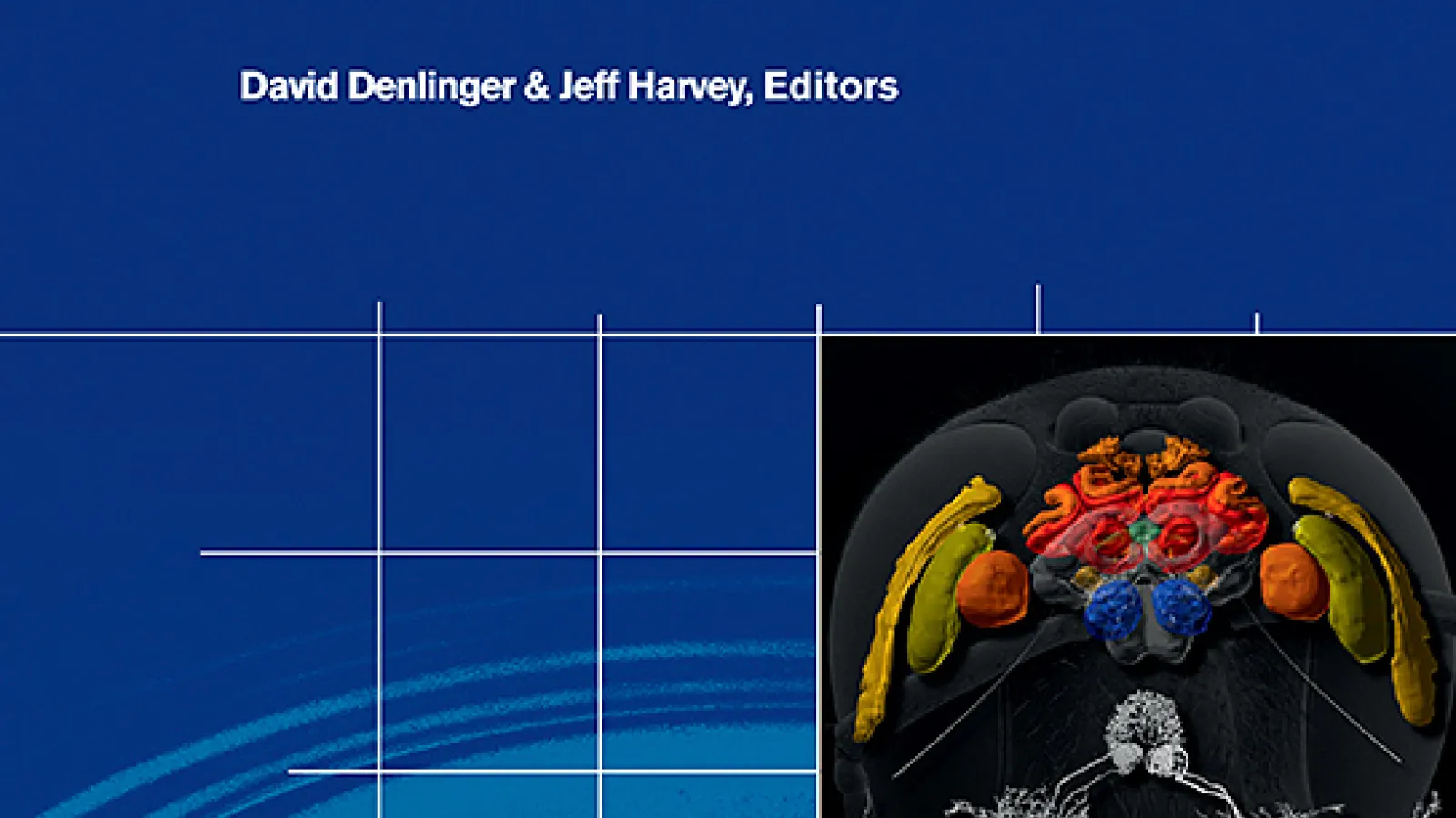 Cover of Current Opinion in Insect Science