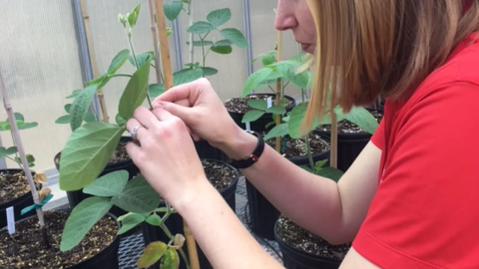 Stephanie in Greenhouse