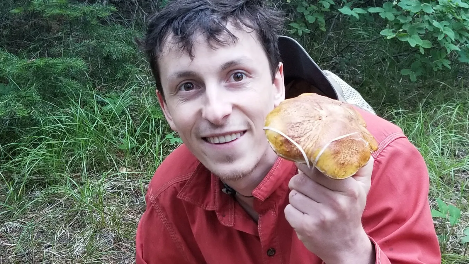 TPS Fellow Zach Konkel in the field looking for mushrooms