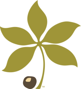 buckeye buckeye
