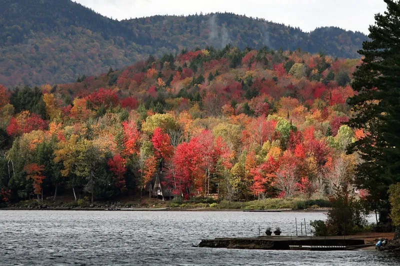 Leaves changing color in the fall
