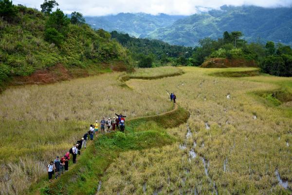 Researchers in the rice terraces of Banaue