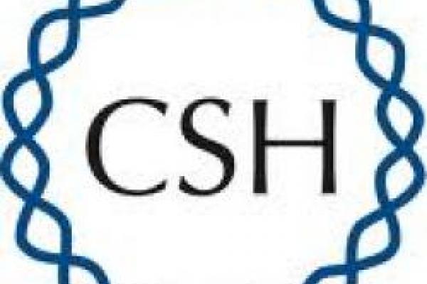 CHS logo