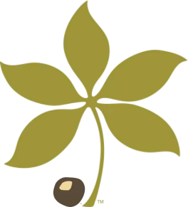 buckeye